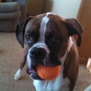 Meet your Posher, James